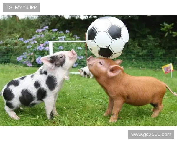 动物与足球明星的速度与灵活性对比探讨 动物与足球明星的速度与灵活性对比探讨