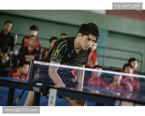 武汉乒乓球队成长之路:从青涩少年到乒乓精英的奋斗历程 武汉乒乓球队成长之路:从青涩少年到乒乓精英的奋斗历程